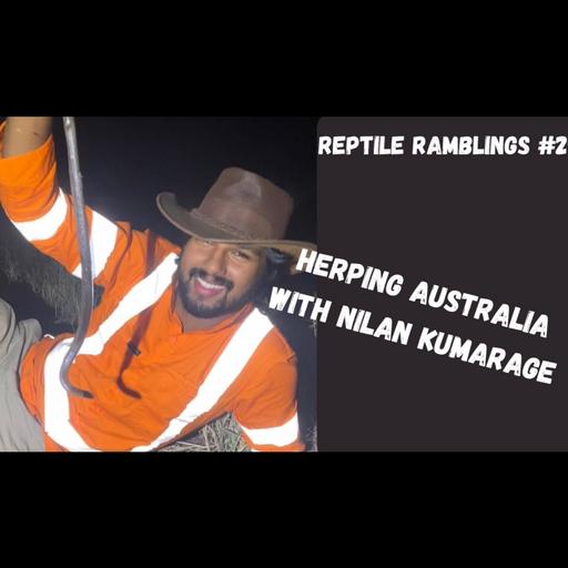 Aussie Herping with Nilan Kumarage | Reptile Ramblings #29