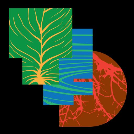 TreesForDev - Aude Péronne & Maria Ehrnström-Fuentes - How can reciprocal labor be used to support communities and commons?