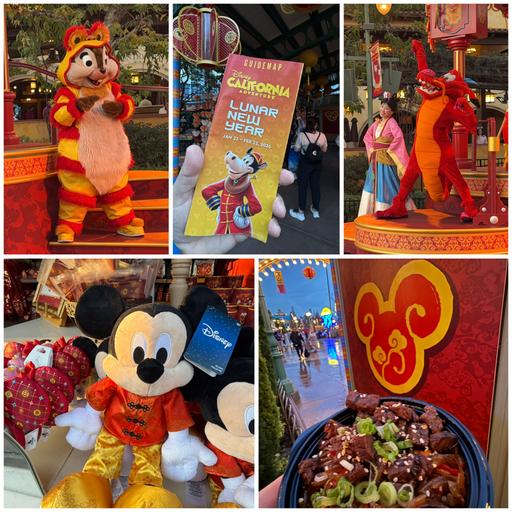 Episode 1,034 – Disney Lunar New Year Festival, 2026