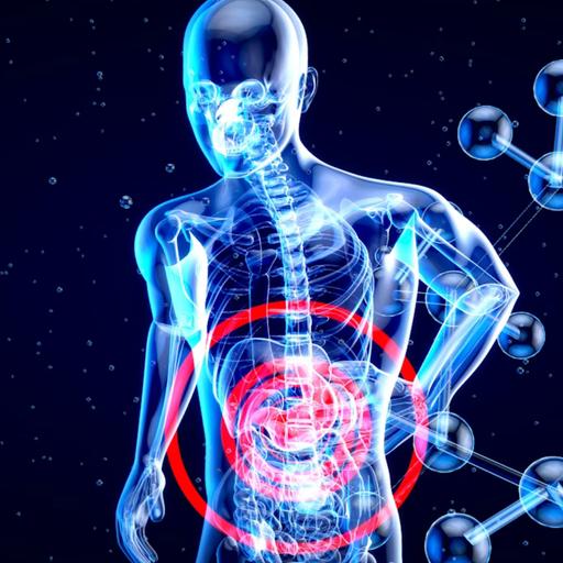 Acqua, movimento e ritmo: così aiutiamo l'intestino fin dal mattino