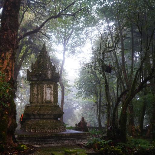 Animacy in Zen — January 13, 2026 — Dharma Talk