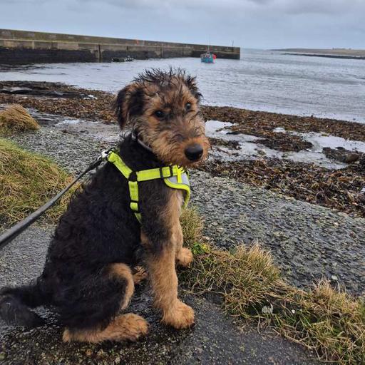 Episode 309 - The Colours of January