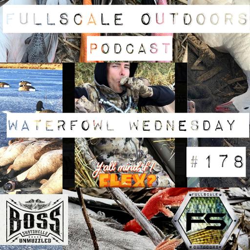 Waterfowl Wednesday #178