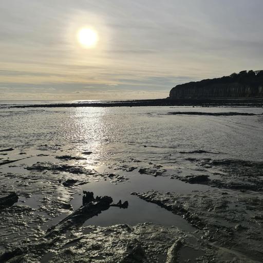 Sound Escape 258. Wild encounters and roaring waves on the Sussex coast