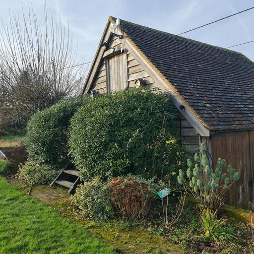 Sound Escape 257. Hear a garden come alive with birdsong as it is warmed by the winter sun