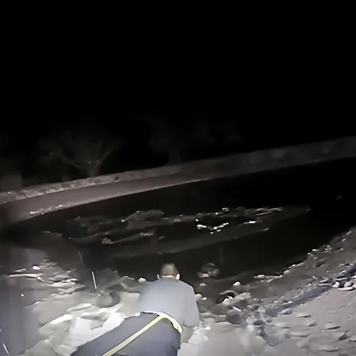 Officer Tells Story Of Lake Rescue - The Real Cost of Owning A Pet