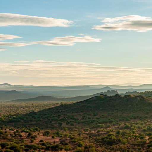EPISODE 100 – A Field course on the Conservation of African Ecosystems