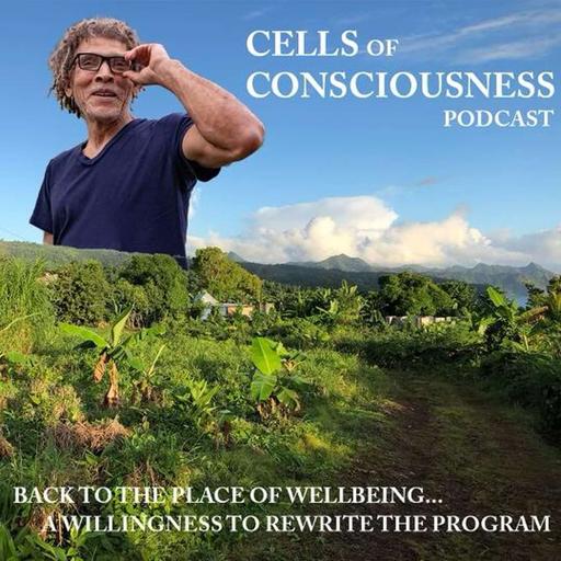 Embodied consciousness