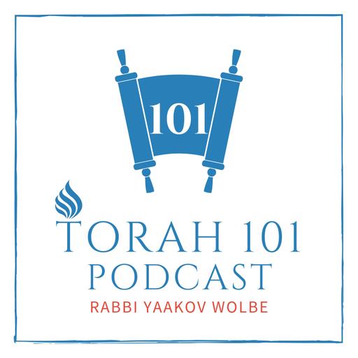 #102: Fourth Order of Mishnah (Damages)
