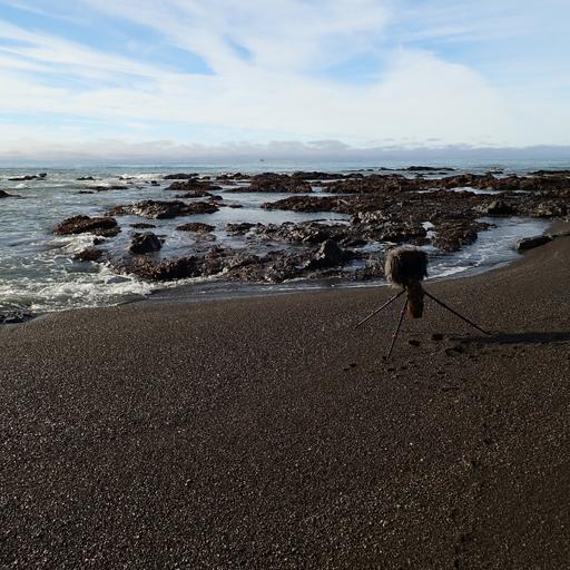 181: Lost Coast- Outgoing Tide On A Winter Afternoon