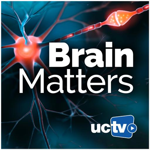 Alzheimer's Disease in Women: Why Sex Differences Matter