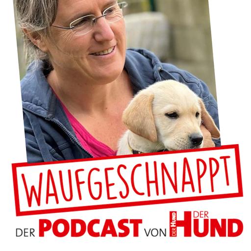 Der Trainingsspezialist - Katja Frey