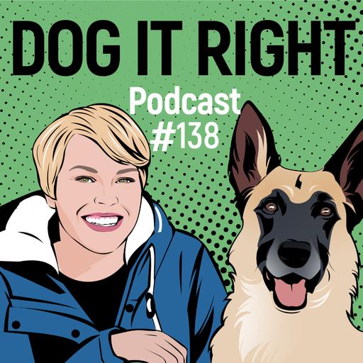 #138: Was ich bei Hundebegegnungen zuerst ändere, bevor ich trainiere