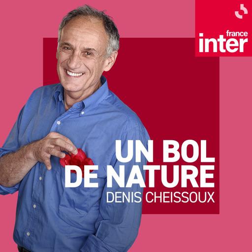 Dans le Morvan, entre eaux et forêts