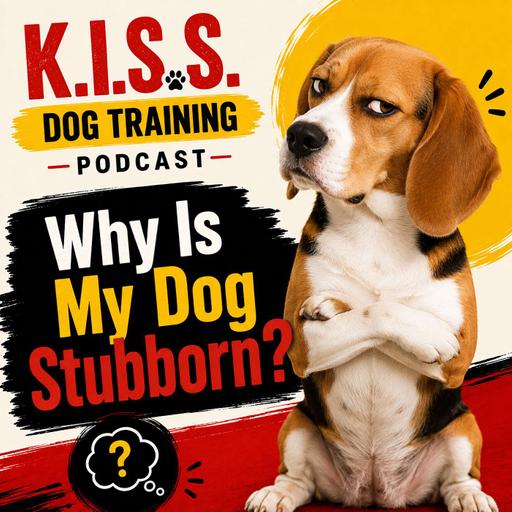 Why is my dog stubborn? Time for a Dog Training Reset...