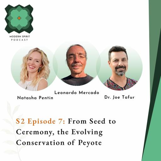 Episode 7: From Seed to Ceremony, the Evolving Conservation of Peyote | Leonardo Mercado