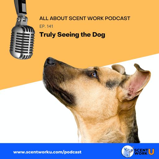 Truly Seeing the Dog