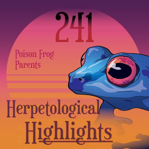 241 Poison Frog Parents