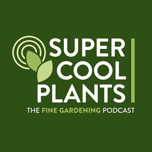 Episode 190: Deer-Resistant Plants