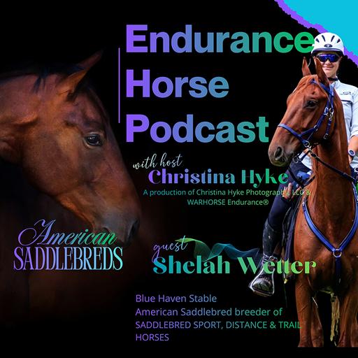 Shelah Wetter- 20,000 Miles on American Saddlebreds