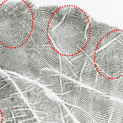 Episode 289 - Angela Tonietto Interview - Palm Patterns