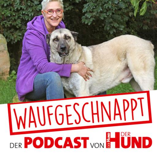 Herdenschutzhunde - Mirjam Cordt