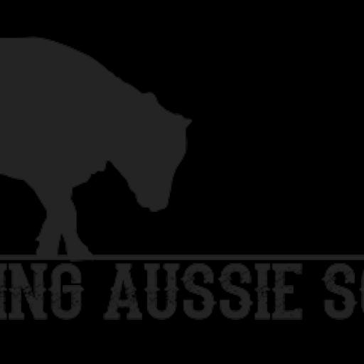 Protecting the Working Aussie: The Futurity, Vetting, and What Comes Next