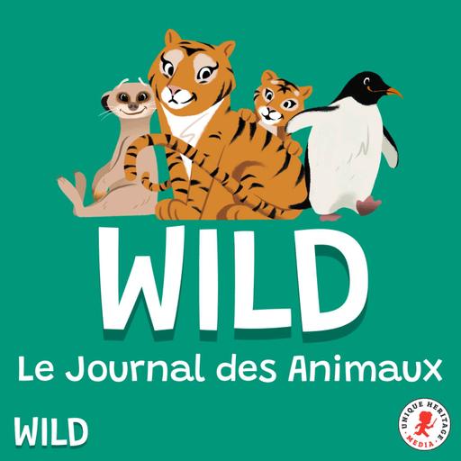 Le chameau sauvage de Tartarie
