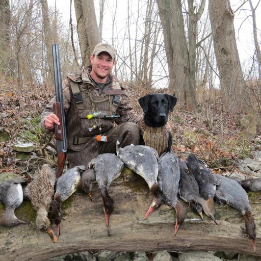 E 274. SEWE, Bob Sleds and Dog Training