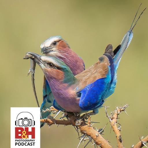 The Ethics of Wildlife Photography with Melissa Groo & Bobby Stormer