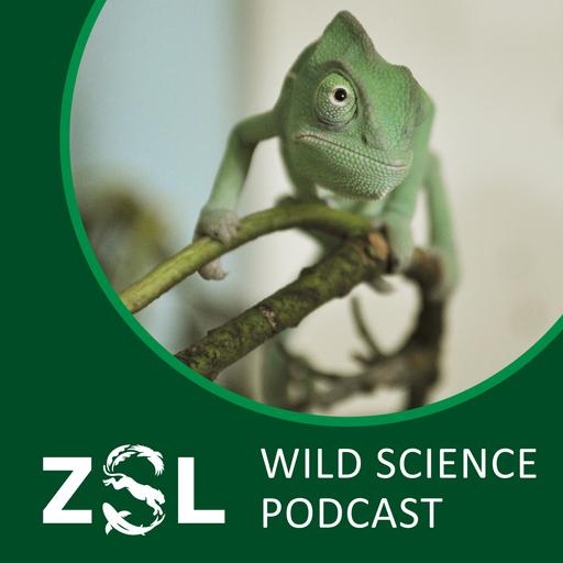 ZSL #050 Mapping Nature's Code
