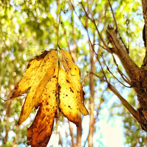 Weight of Death, Leaves As Flowers