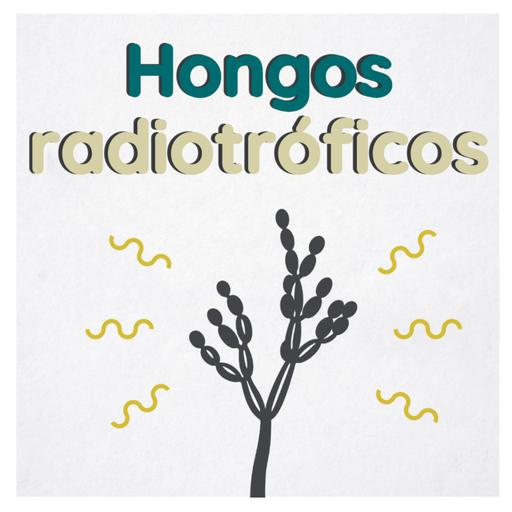 Hongos de la oscuridad: sobreviviendo a la radiación en Chernobyl