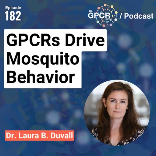 Why Mosquitoes Hunt You: The GPCR Behind the Bite - Laura Duvall