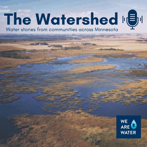 Raised By the Swamp: Finding healing in water