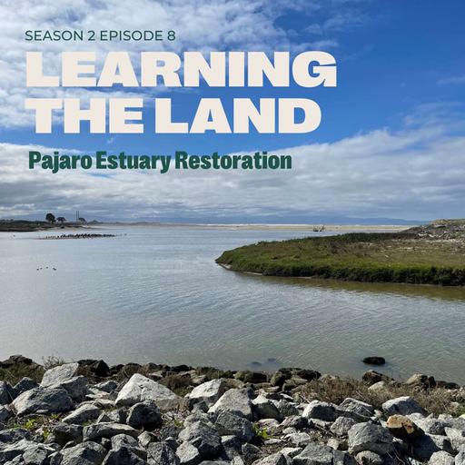 Pajaro Estuary Restoration