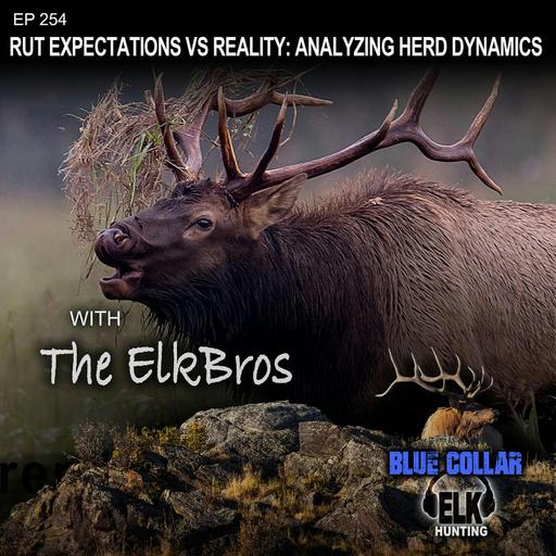 EP 254:Rut Expectations vs Reality: Analyzing herd dynamics