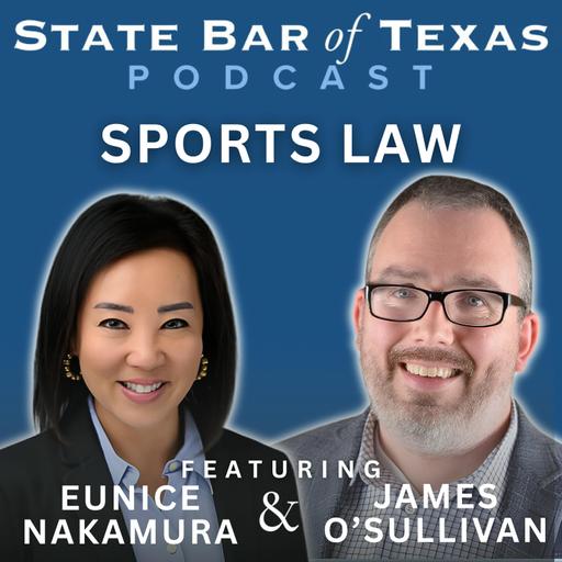 Beyond the Game: Inside Texas Pro Sports Law