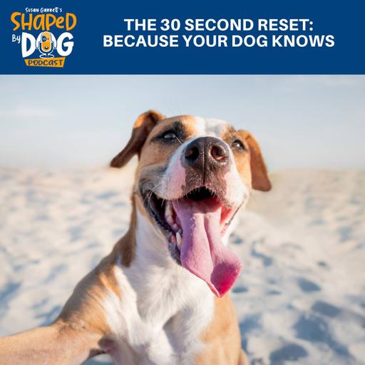 The 30 Second Reset - Because Your Dog Knows #326