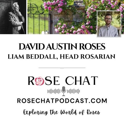 DAVID AUSTIN ROSES