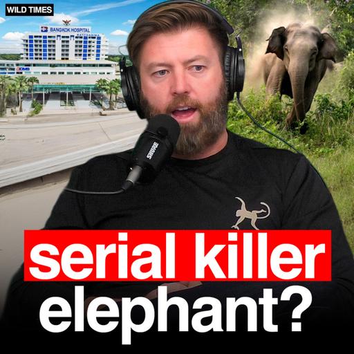 Forrest Galante On How To Stop Serial Killer Elephants In Thailand