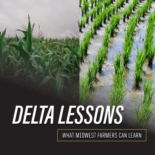 Lessons From the Delta, Part 3: How Investors Are Buying Farmland