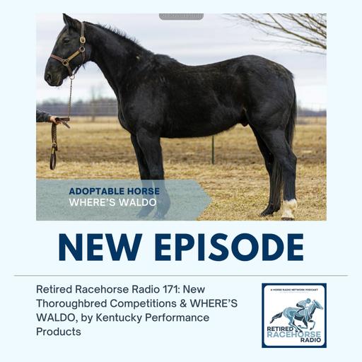 New Thoroughbred Competitions and WHERE'S WALDO by Kentucky Performance Products