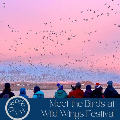 133- Meet the Birds at Wild Wings Festival