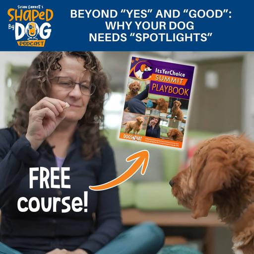 Beyond "Yes" And "Good": Why Your Dog Needs "Spotlights" #327