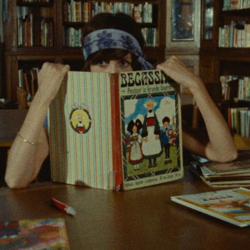 / VR214 / Bibliotecas públicas: El (pen)último escudo
