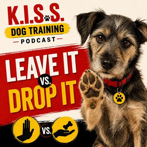 Leave It vs Drop It: The Most Misunderstood Commands in Dog Training.