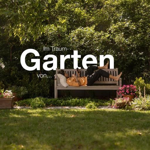 Zimmerpflanzen leicht gemacht: Tipps für einen grünen Indoor-Dschungel - Im Traumgarten von Vanessa Wünsch