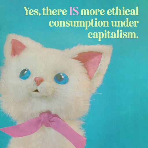 Episode 256: There IS (more) ethical consumption under capitalism (part one) with Lisa of Retro Housewife Goes Green