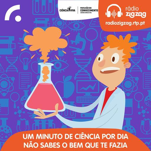 As moscas também se mascaram no carnaval?